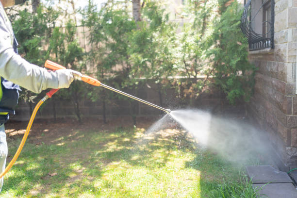 Best Mosquito Control Services  in Cove Creek, NC