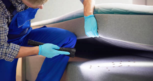 Best Commercial Pest Control Services  in Cove Creek, NC