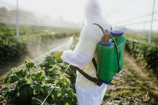 Pest Prevention Services in Cove Creek, NC